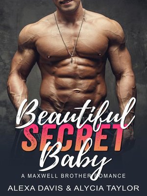 cover image of Beautiful Secret Baby